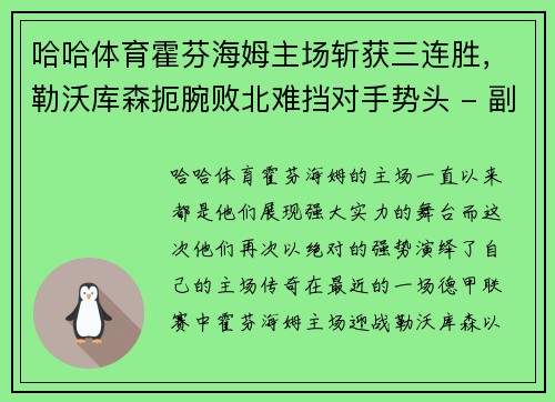 哈哈体育霍芬海姆主场斩获三连胜，勒沃库森扼腕败北难挡对手势头 - 副本